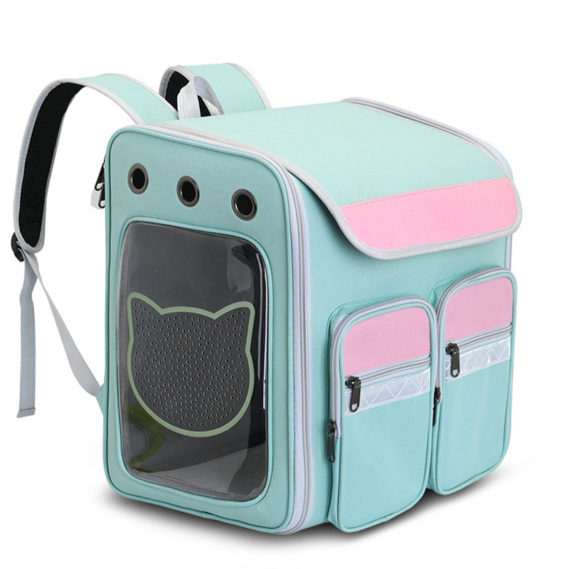 Folding pet carry-on box